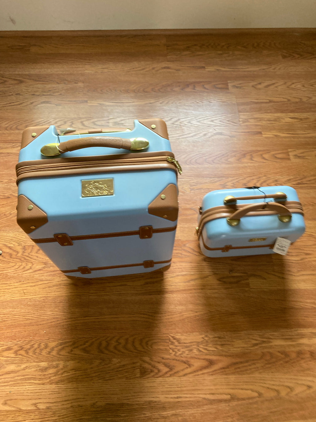 Chariot Suitcase and Make up Case